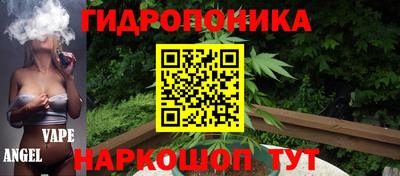 гашик Малгобек