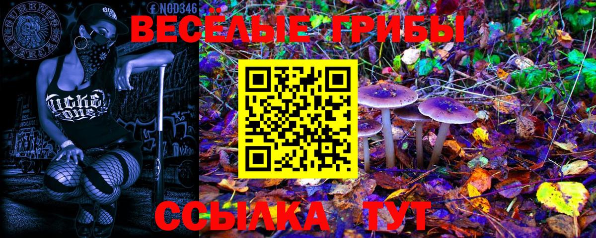 Тула  Псилоцибиновые грибы прущие грибы  Вход с VPN 